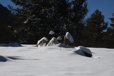 DSC_4889 (Large).JPG